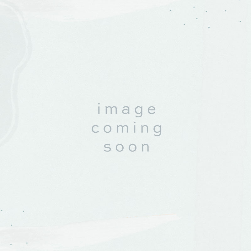 Pines to Palms CEMENT BOWL Weimaraner White Inside Medium