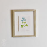 Lindsay Von FRAMED BOTANICALS 2