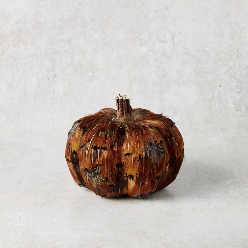 K and K Interiors TWIG STEM FEATHER PUMPKIN Orange Brown 5