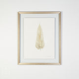 By Lacey MEDIUM FLOATED FRAMED FEATHER SERIES 12 NO 5