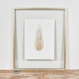 By Lacey SMALL FRAMED FLOATED FEATHER SERIES 14 NO 4