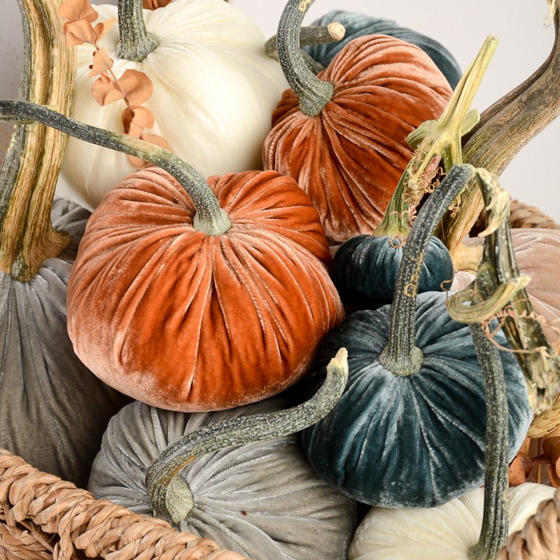 Hot Skwash SILK VELVET PUMPKIN