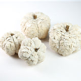 K and K Interiors SCALLOPED WOOD CHIP PUMPKIN White