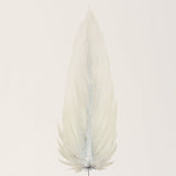 SMALL FRAMED FLOATED FEATHER PAINTING - SERIES 11 NO 5 - By Lacey
