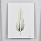 SMALL FRAMED FLOATED FEATHER PAINTING - SERIES 12 NO 6 - By Lacey