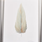 MEDIUM FLOATED FRAMED FEATHER PAINTING - SERIES 11 NO 4 - By Lacey