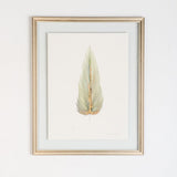 MEDIUM FLOATED FRAMED FEATHER PAINTING - SERIES 10 NO 3 - By Lacey