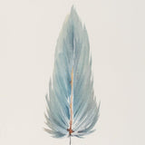 SMALL FRAMED FLOATED FEATHER PAINTING - SERIES 11 NO 11 - By Lacey