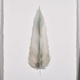 By Lacey LARGE FRAMED FLOATED FEATHER PAINTING - SERIES 14 NO 2