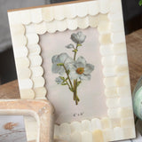 Shiraleah MANSOUR SCALLOPED PICTURE FRAME Ivory 4x6