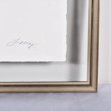 LARGE FRAMED FLOATED FEATHER PAINTING - SERIES 14 NO 1 - By Lacey