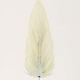 SMALL FRAMED FLOATED FEATHER PAINTING - SERIES 11 NO 6 - By Lacey