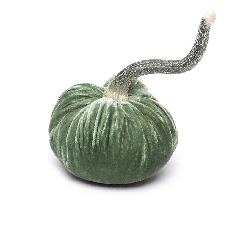 Hot Skwash SILK VELVET PUMPKIN Sage