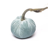 Hot Skwash SILK VELVET PUMPKIN Seafoam