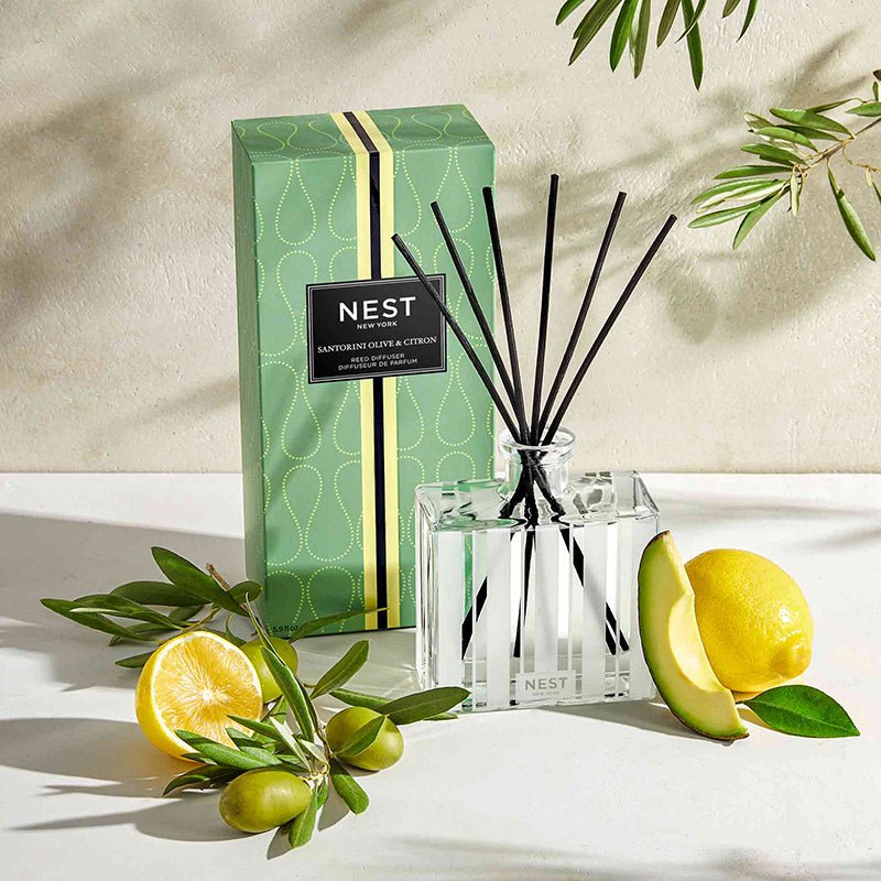 Nest Pura Diffuser Set By Nest Fragrances – Bella Vita Gifts