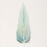 MEDIUM FLOATED FRAMED FEATHER PAINTING - SERIES 10 NO 4 - By Lacey