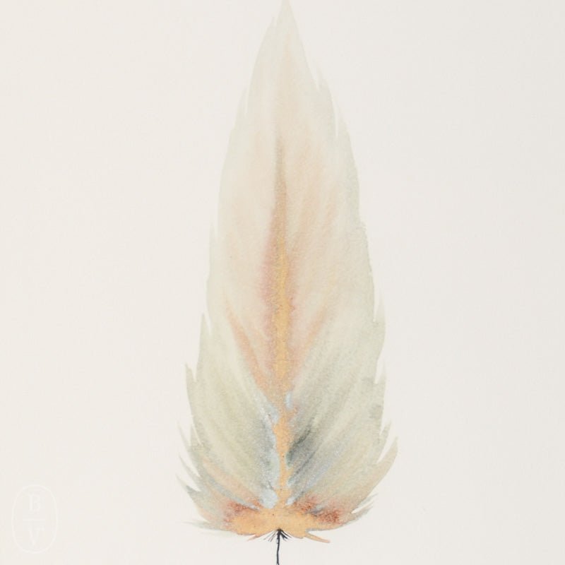 SMALL FRAMED FLOATED FEATHER PAINTING - SERIES 11 NO 7 - By Lacey