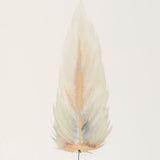 SMALL FRAMED FLOATED FEATHER PAINTING - SERIES 11 NO 7 - By Lacey