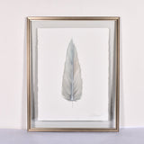 LARGE FRAMED FLOATED FEATHER PAINTING - SERIES 14 NO 3 - By Lacey