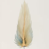 SMALL FRAMED FLOATED FEATHER PAINTING - SERIES 11 NO 3 - By Lacey