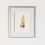 SMALL FRAMED FLOATED FEATHER PAINTING - SERIES 11 NO 4 - By Lacey