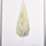 MEDIUM FLOATED FRAMED FEATHER PAINTING - SERIES 11 NO 6 - By Lacey