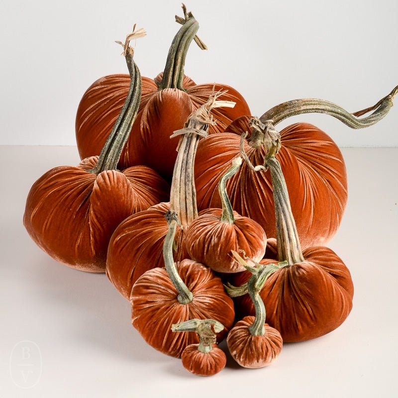 Hot Skwash SILK VELVET PUMPKIN Spice