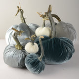 Hot Skwash SILK VELVET PUMPKIN